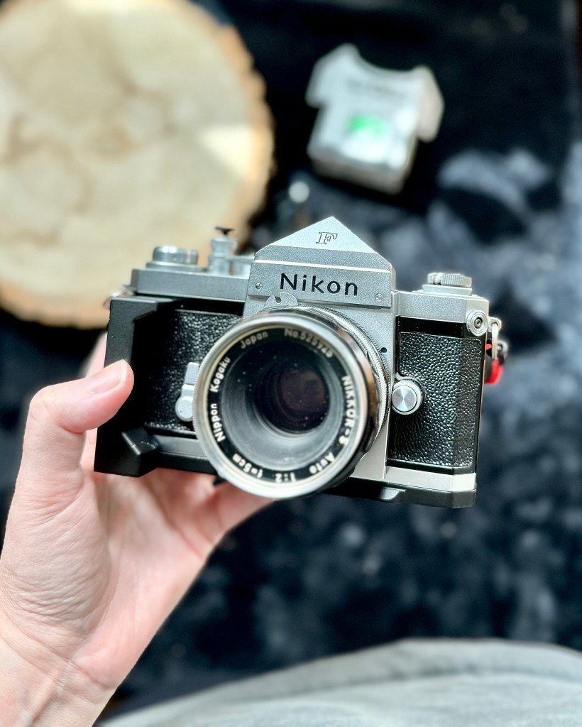 One Camera One Month - Last 6 Months - Aly's Vintage Camera Alley